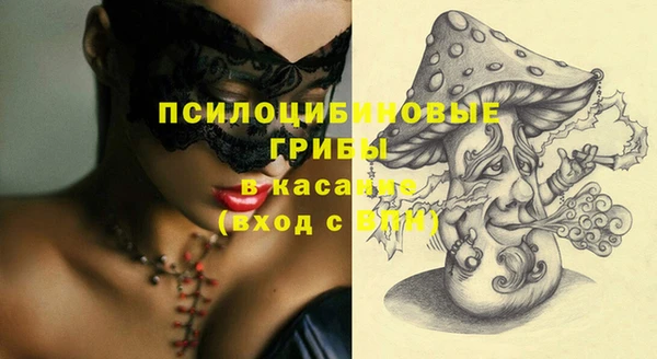 сатива Белоозёрский